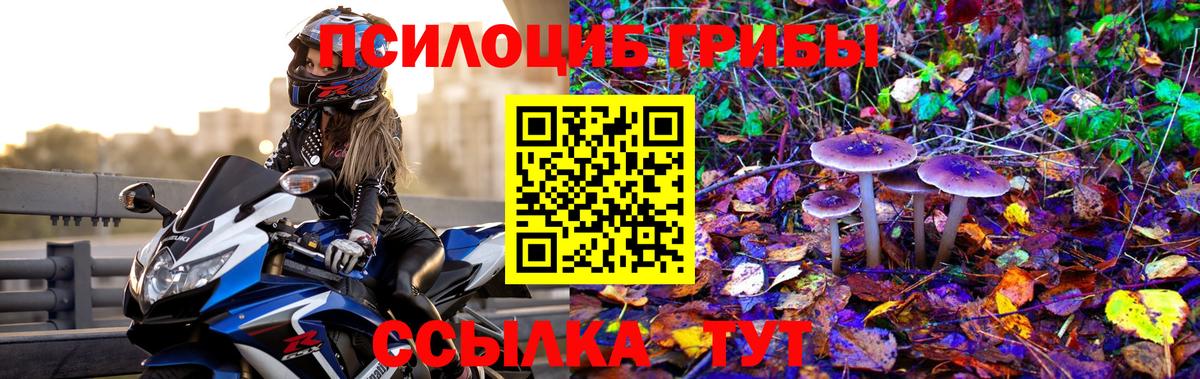 Галлюциногенные грибы Magic Shrooms Моздок
