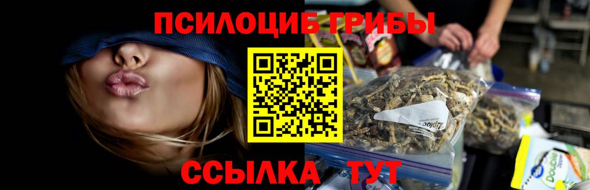 Псилоцибиновые грибы Psilocybe  Вход с VPN  Моздок 