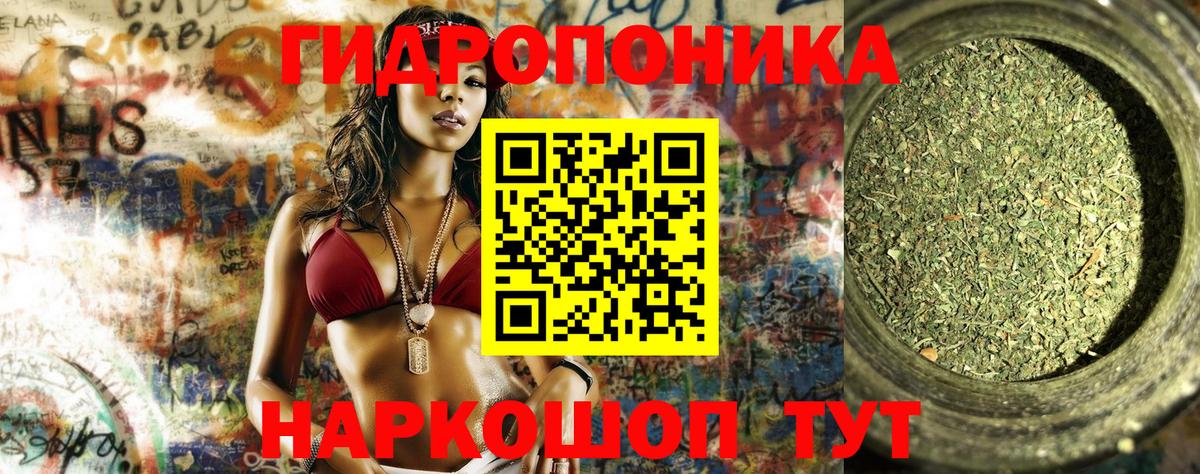 Бошки марихуана Ganja Моздок